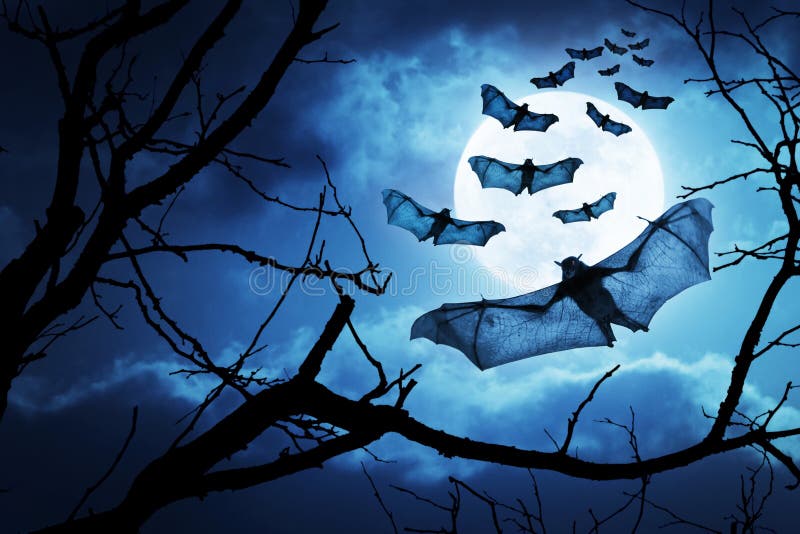 Creepy Bats Fly In For Halloween Night By A Full Moon