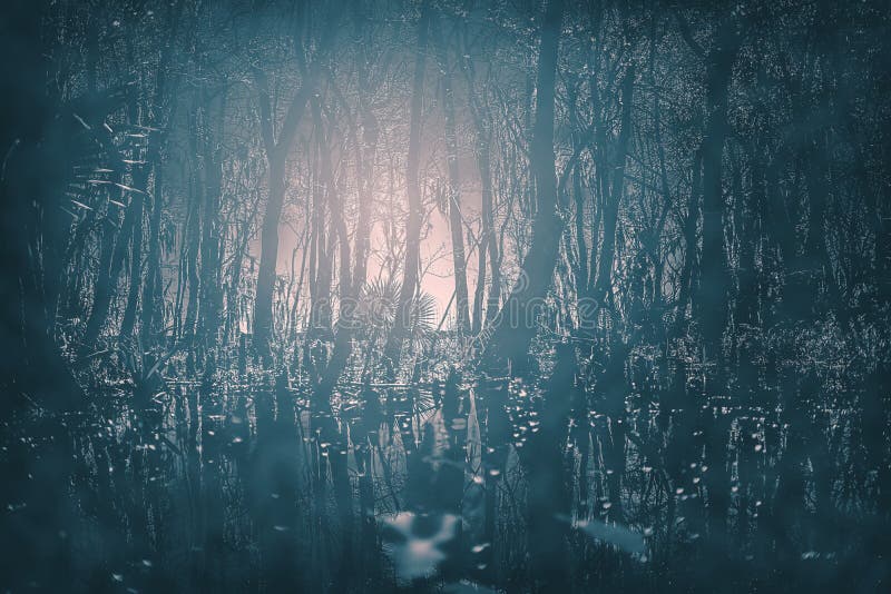 A creepy Gothic moonlit foggy woods at night. Great for horror, Gothic, Creepy, and scary projects.