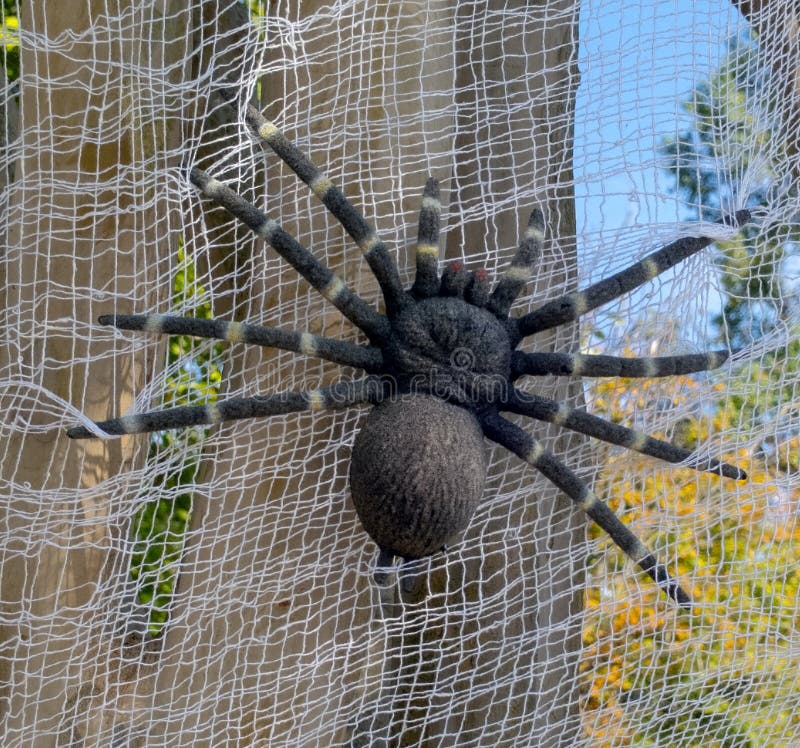 Creepy giant Halloween spider royalty free stock photos