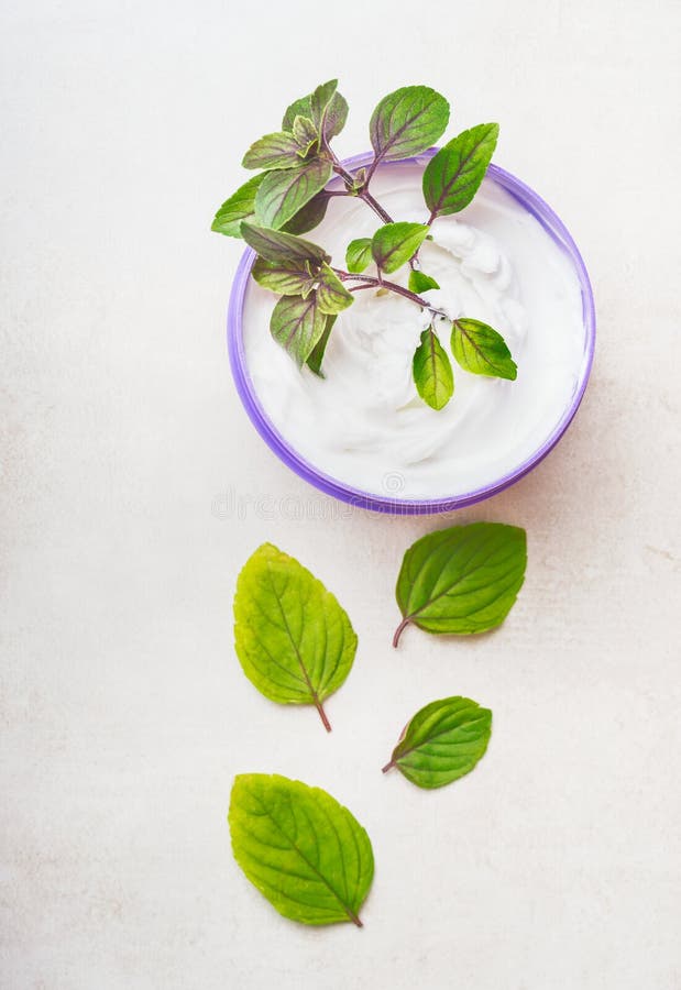 Crema cosmética natural herbaria para el cuidado de piel con las hojas verdes foto de archivo libre de regalías Crema cosmética natural herbaria para el cuidado de piel con las hojas verdes foto de archivo libre de regalías