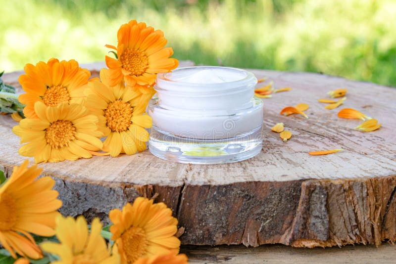 Crema para el cuidado del cuerpo con el calendula Flores anaranjadas frescas del calendula en un fondo de madera en naturaleza Cr imágenes de archivo libres de regalías Crema para el cuidado del cuerpo con el calendula Flores anaranjadas frescas del calendula en un fondo de madera en naturaleza Cr imágenes de archivo libres de regalías