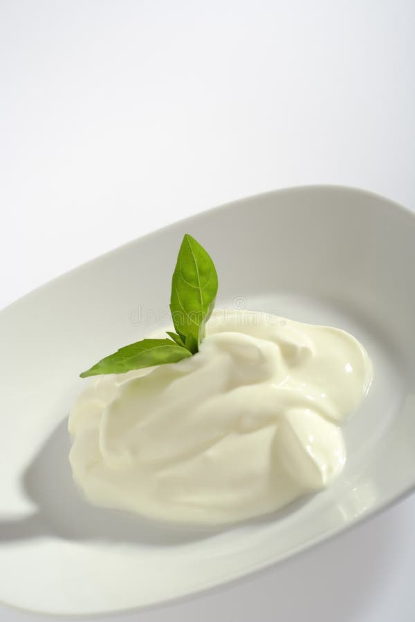 Creme fraiche with basil stock photo. Image of yellowish 8788424