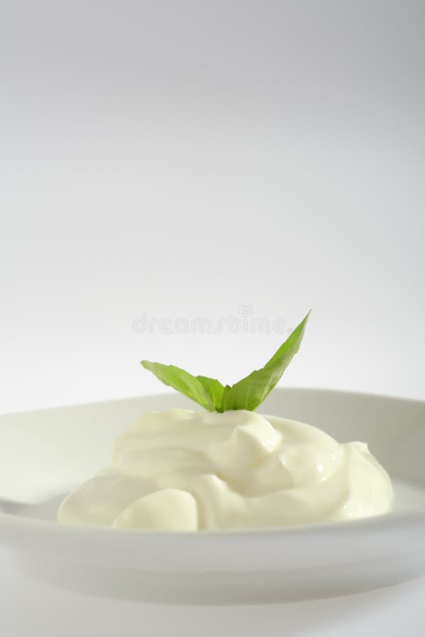 Creme fraiche with basil stock photo. Image of cuisine 8818926