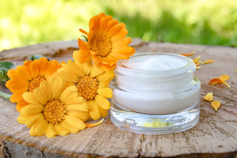 Creme para o cuidado do corpo com calendula Flores alaranjadas frescas do calendula em um fundo de madeira na natureza Creme cosm imagens de stock Creme para o cuidado do corpo com calendula Flores alaranjadas frescas do calendula em um fundo de madeira na natureza Creme cosm imagens de stock