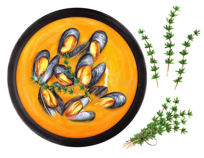 Cremige Kürbissuppe mit Muscheln. Aquarellbild lizenzfreie abbildung