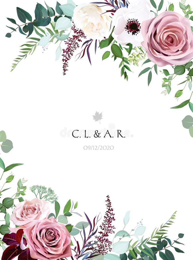 Cremă roz prăfuită trandafir flori palide alb anemon indicator botanic vertical vector illustration