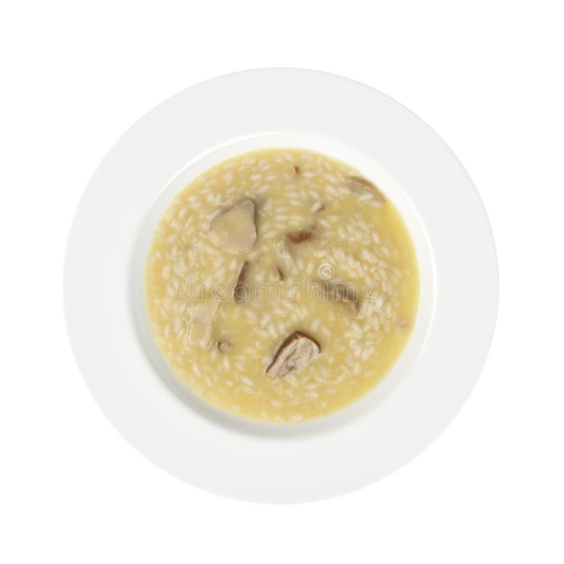 Cresce rapidamente a placa do arroz isolada no fundo branco imagem de stock royalty free Cresce rapidamente a placa do arroz isolada no fundo branco imagem de stock royalty free