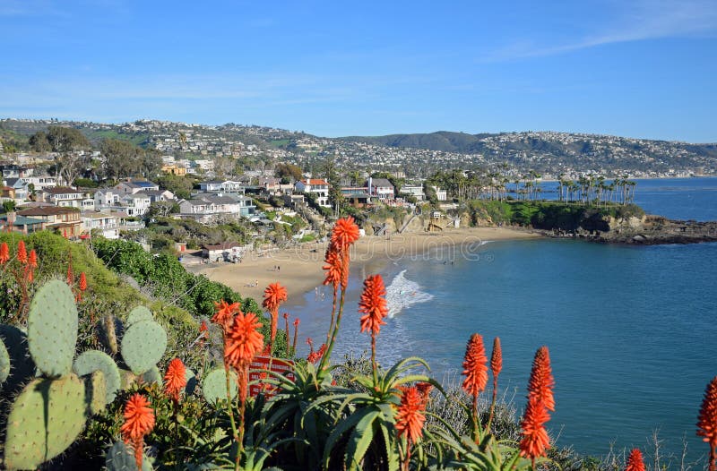 Winter time view of spectacular Crescent Bay, North Laguna Beach, California. The beach is open to the public. Photo location is called Crescent Bay Point Park which is a beautiful public park providing a spectacular view of the Laguna Beach coastline. The red flower belongs to the Aloe species.