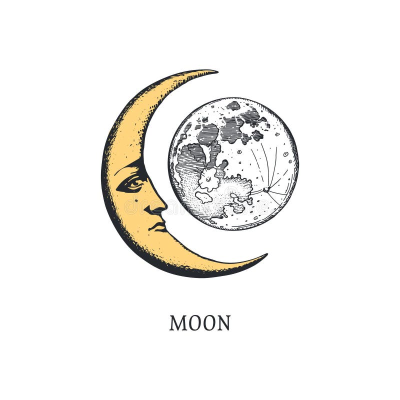 Crescent Vector Illustration. Moon Stock Vector - Illustration of logo ...