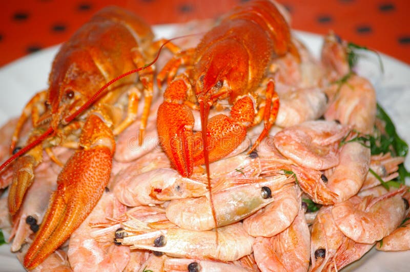 crevettes photo libre de droits crevettes photo libre de droits