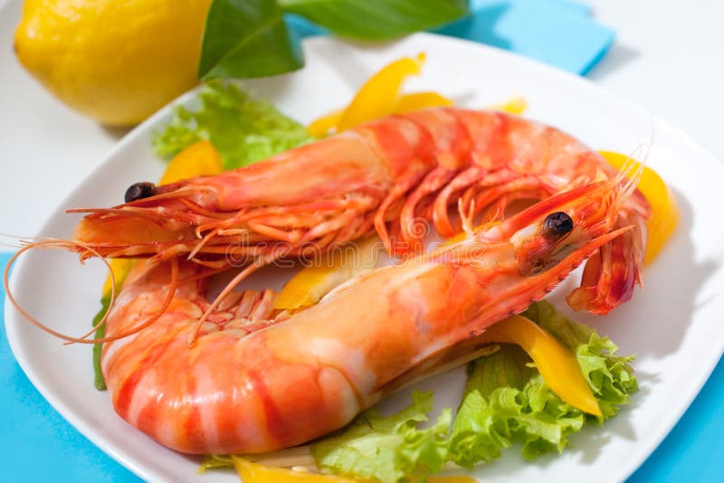 Crevettes roses de roi Crevettes roses de roi