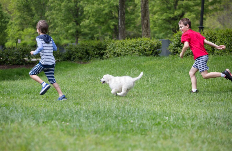 Crianças Brincando Com Cachorro Imagem de Stock - Imagem de animal, ativo: 207254273