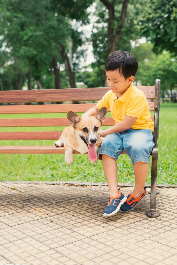 Crianças e cães fora Rapaz pequeno asiático que aprecia e que joga no parque com seu Pembroke Welsh Corgi adorável fotografia de stock Crianças e cães fora Rapaz pequeno asiático que aprecia e que joga no parque com seu Pembroke Welsh Corgi adorável fotografia de stock