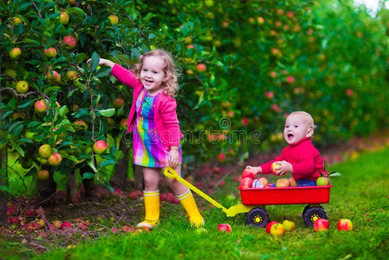 Crianças que escolhem a maçã em uma exploração agrícola imagens de stock royalty free Crianças que escolhem a maçã em uma exploração agrícola imagens de stock royalty free