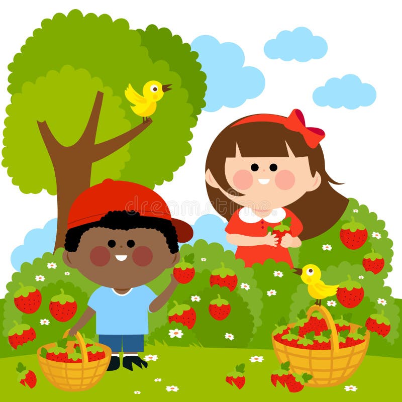 Crianças que escolhem morangos ilustração royalty free Crianças que escolhem morangos ilustração royalty free