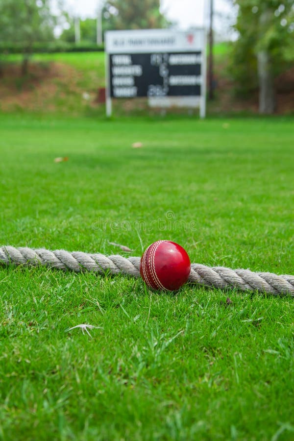Cricket Ball Throw Stock Photos Free & RoyaltyFree Stock Photos from