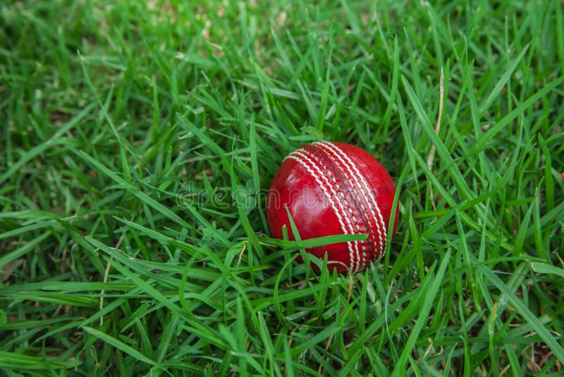 Cricket Ball Throw Stock Photos Free & RoyaltyFree Stock Photos from