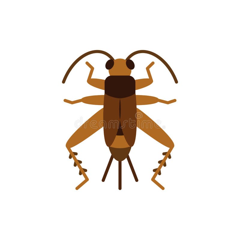 Cricket Insect Stock Illustrations – 2,874 Cricket Insect Stock Illustrations, Vectors & Clipart - Dreamstime Cricket Insect Stock Illustrations – 2,874 Cricket Insect Stock Illustrations, Vectors & Clipart - Dreamstime