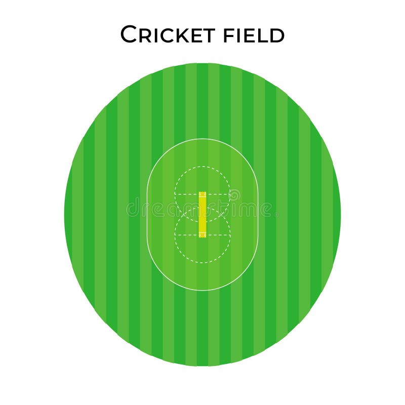 Cricket Field in Real Proportions, Cricket Stadium Stock Vector