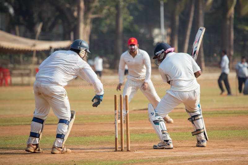 Cricket in the Park editorial stock image. Image of game - 140158909