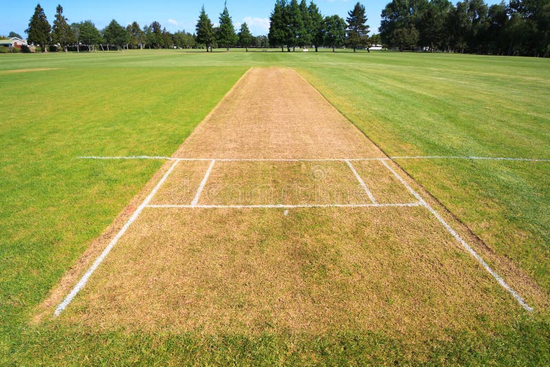 3,600 Cricket Pitch Stock Photos - Free & Royalty-Free Stock Photos from  Dreamstime