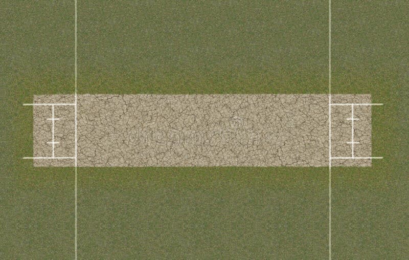 Cricket Pitch Top View