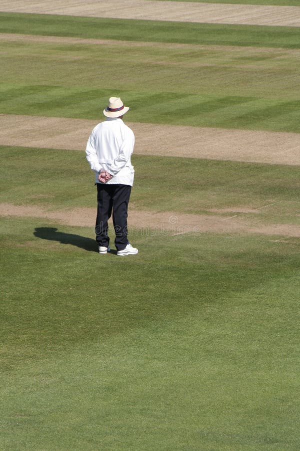 Cricket umpire stock image. Image of ball, rule, hove 2305949