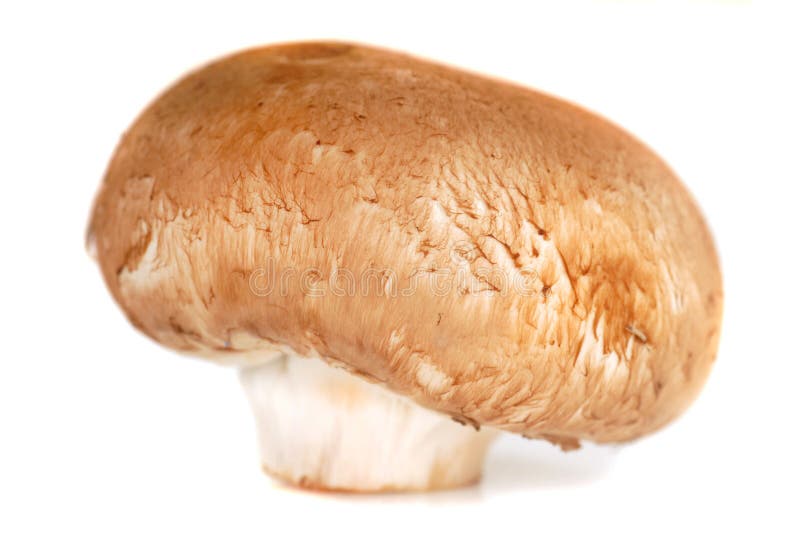 Crimini Mushroom