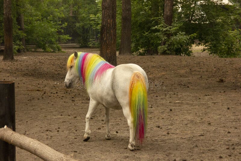 Un Cheval Coloré Est Peint Avec Une Crinière De Couleur Arc-en