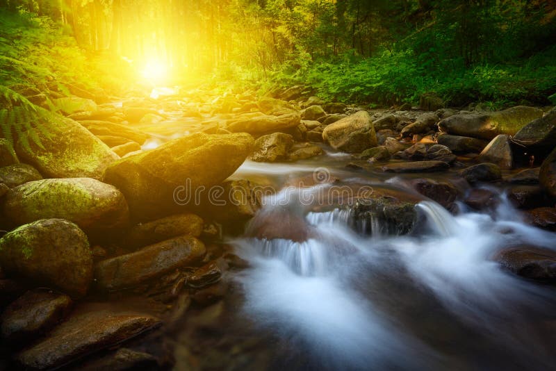 Crique de montagne avec des pierres et la lumière du soleil photographie stock libre de droits Crique de montagne avec des pierres et la lumière du soleil photographie stock libre de droits