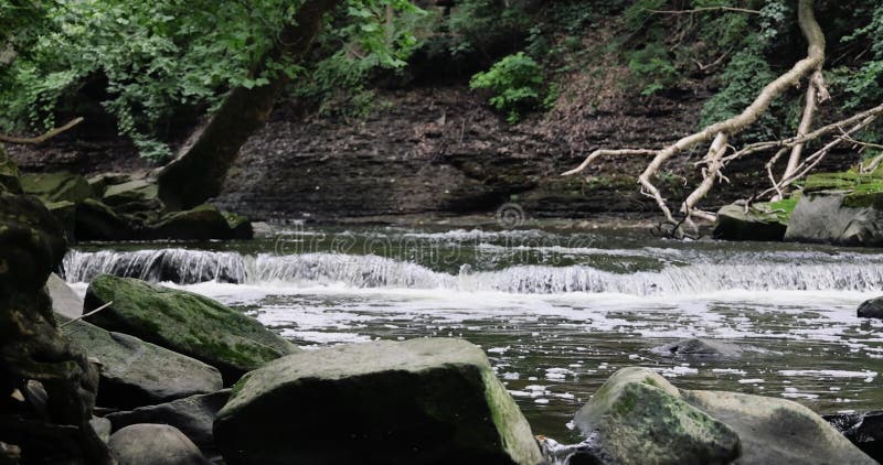 Crique de tinkers dans l'ohio eau courante à travers des rochers banque de vidéos