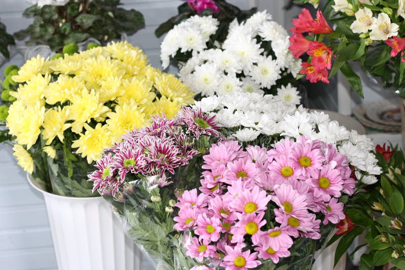 Crisântemo Branco, Amarelo E Cor-de-rosa Em Um Florista Um Ramalhete Dos  Crisântemos Imagem de Stock - Imagem de flora, outono: 140474411