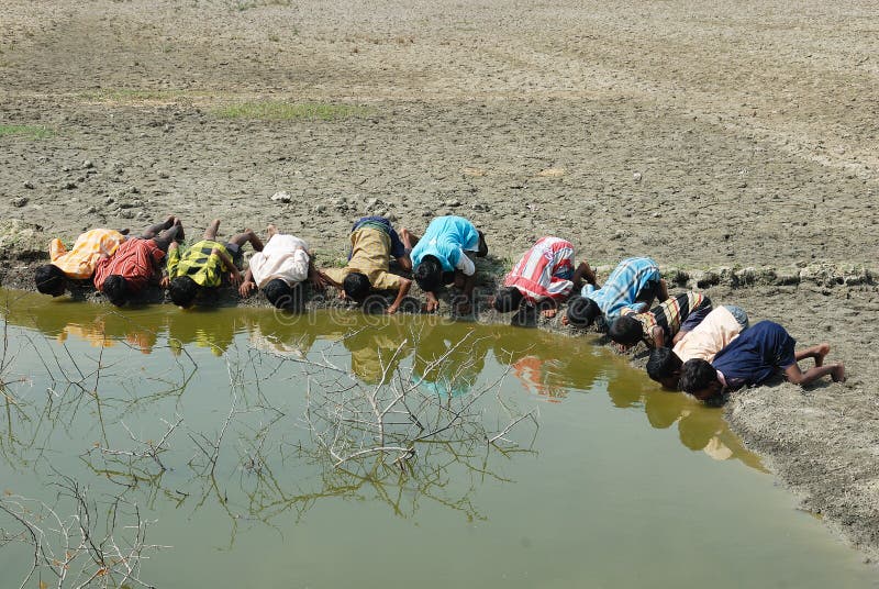 Crise De L'eau En SundarbanInde. Image stock éditorial Image du