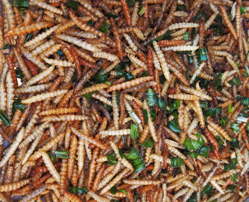 Deep fried bamboo worm stock image. Image of exotic, macro - 40684127