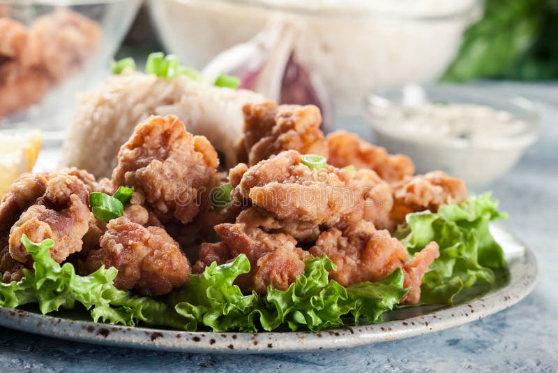 Crispy Chicken Karaage Served with Rice Stock Image Image of food, chicken 204999385