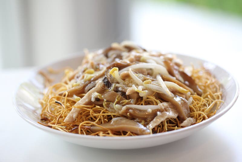 Crispy Egg Noodles with Pork Stock Photo Image of pork, gravy 50330328