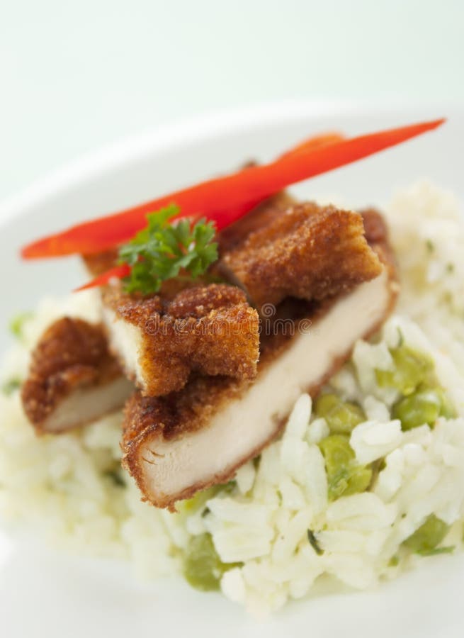 Chicken Rice stock image. Image of delicious, steam, ingredient 25869687