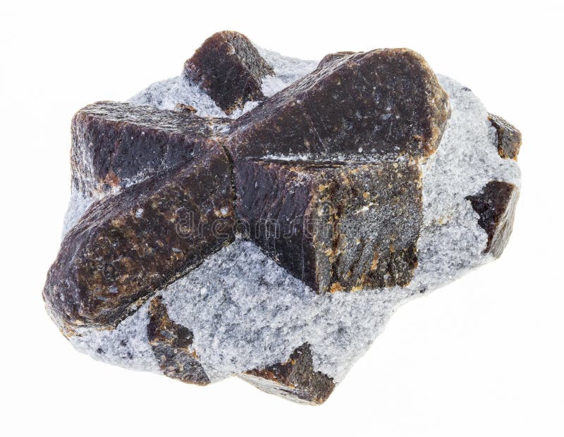cristais crus do staurolite no xisto de mica no branco fotografia de stock royalty free cristais crus do staurolite no xisto de mica no branco fotografia de stock royalty free