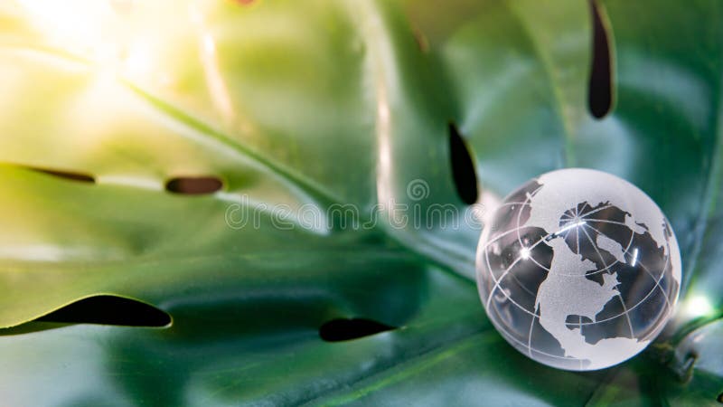 Cristal del globo del mundo en la hoja verde