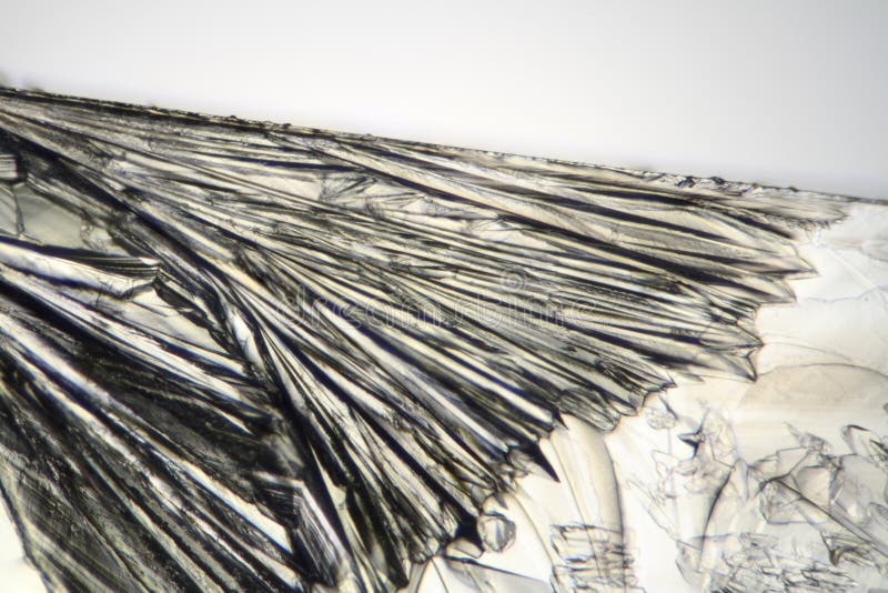 Estrutura De Cristal Líquida Microscópica Foto de Stock