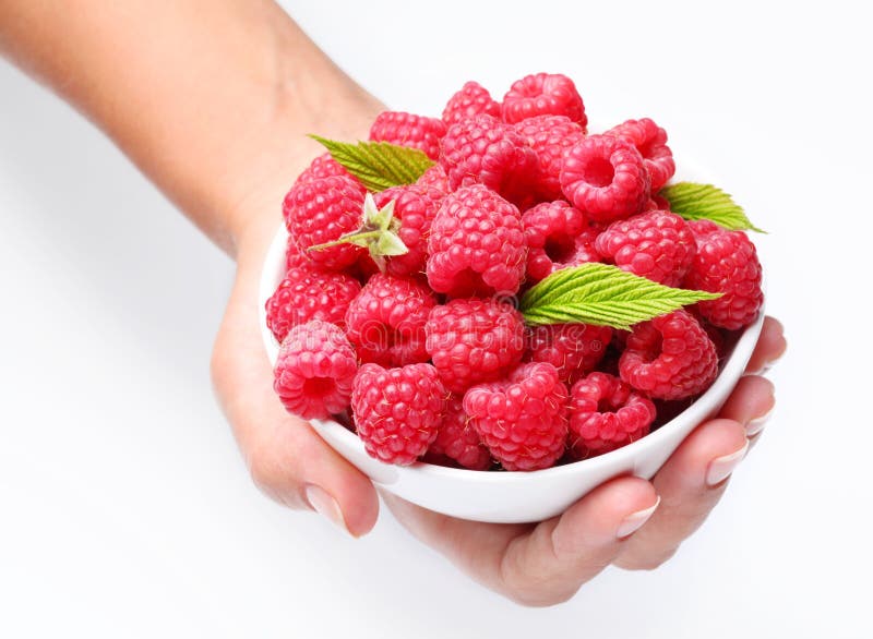 Crockery with raspberries in woman hands.