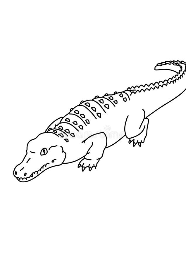 clipart crocodile black and white