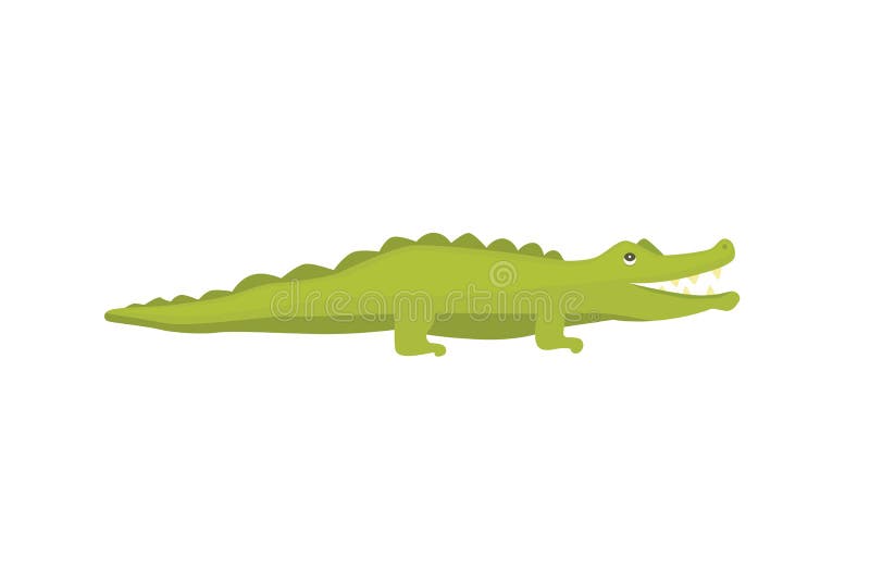 Crocodile Cute Character. Aligator vector cartoon illustration royalty free illustration Crocodile Cute Character. Aligator vector cartoon illustration royalty free illustration