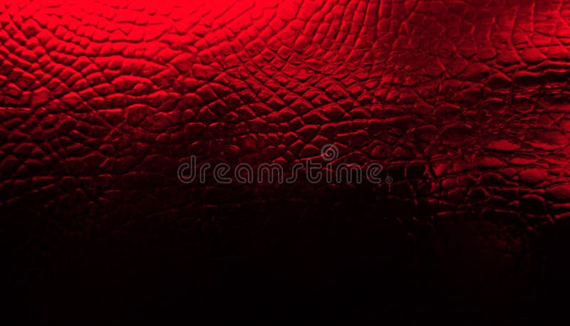 790 Red Crocodile Leather Texture Stock Photos - Free & Royalty-Free Stock  Photos from Dreamstime