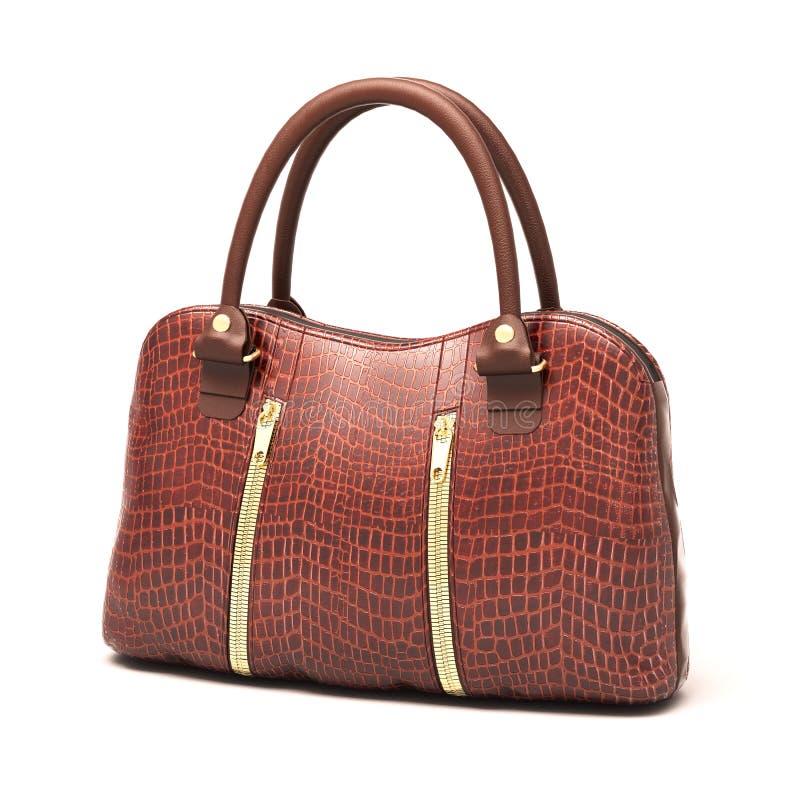 Crocodile Leather Women S Shoes with High Heels Stock Photo Image of