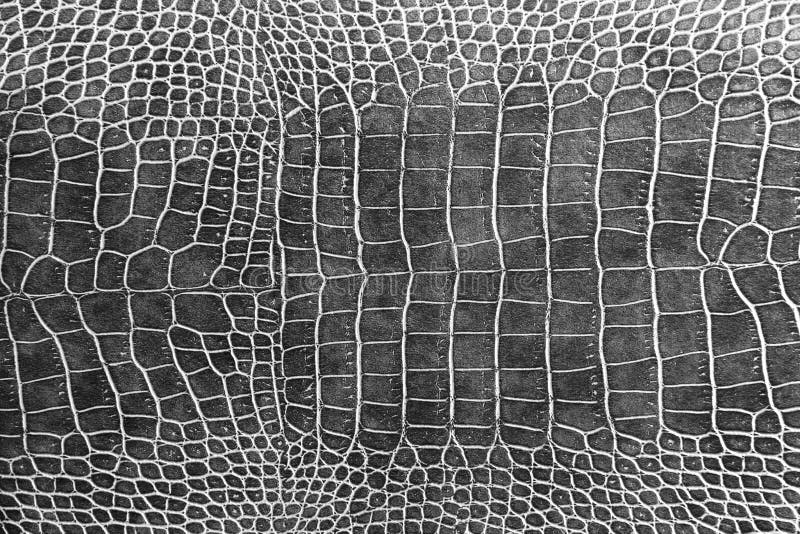 Crocodile skin texture