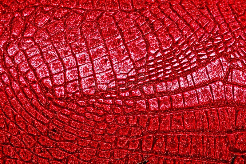 red crocodile skin