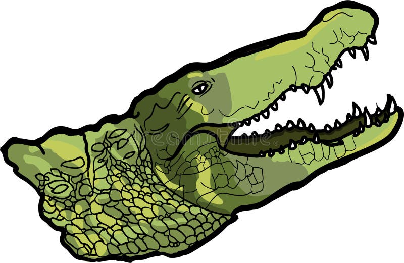 Crocodilo ilustração stock
