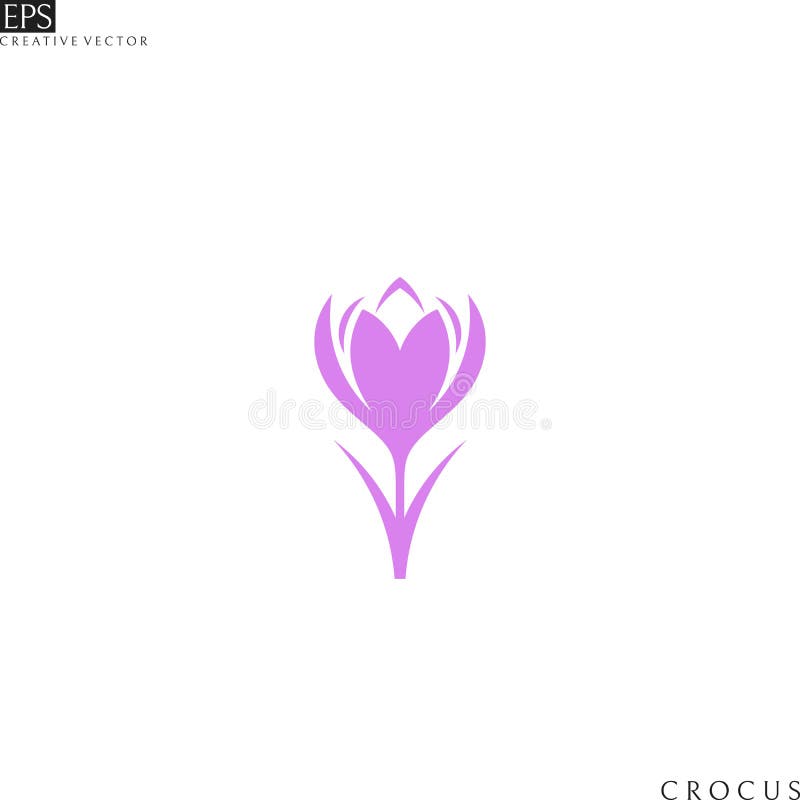 Crocus Flowers Watercolor stock illustration. Illustration of painting