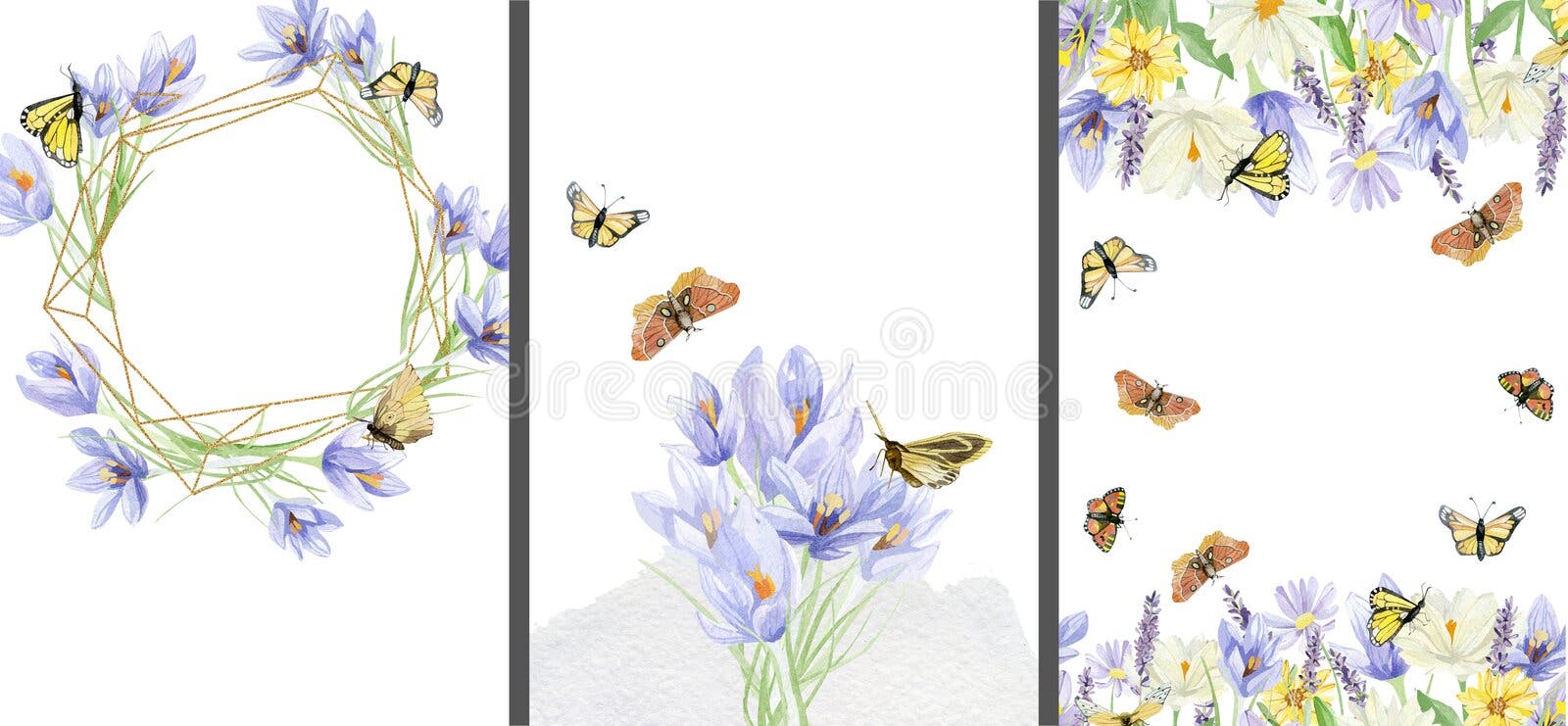 Crocus and wildflower of beautiful floral frame wedding invitation set. Beautiful garden botanical border with butterfly royalty free illustration Crocus and wildflower of beautiful floral frame wedding invitation set. Beautiful garden botanical border with butterfly royalty free illustration